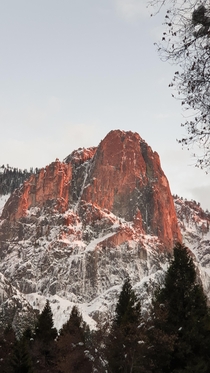 Yosemite CA 
