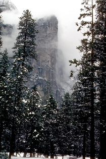 Yosemite during snowstorm 