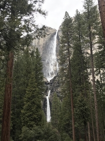 Yosemite Falls 
