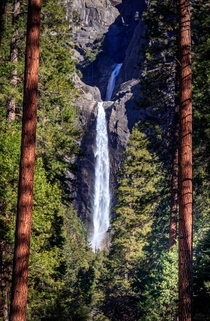 Yosemite Falls framed by the surrounding woods Yosemite California 