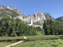 Yosemite Falls gushing down after a huge winter Yosemite National Park CA 