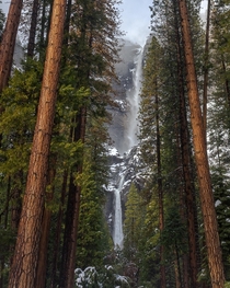 Yosemite Falls in Winter 