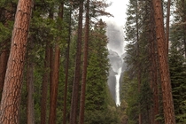Yosemite Falls on a gloomy day 