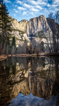 Yosemite Falls reflecting on the Merced 