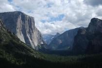 Yosemite in the Summer 