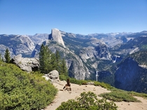 Yosemite National Park CA 