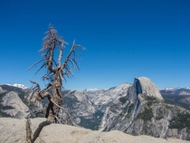 Yosemite National Park USA  