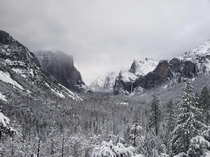 Yosemite National Park  x