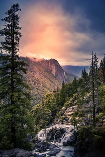Yosemite National Park  x