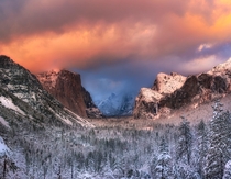 Yosemite Solitude 