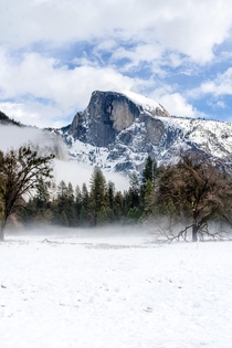 Yosemite Valley California 