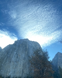 Yosemite Valley Floor  