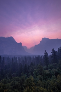 Yosemite Valley pretty in pink 