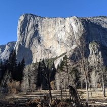 Yosemites El Capitan x OC