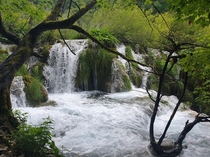 You can almost hear the water flow - Plitvice lakes 