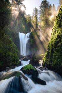 You can only catch these incredible light rays at Falls Creek Falls during a short time of the year when theres enough spray from the falls and the correct angle of the sun OC  ross_schram