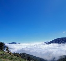You can usually see all the way to the ocean from here but today it was an ocean of clouds Angeles Crest Inspiration Point CA 