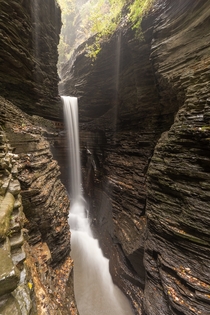 You dont want to fall in Watkins Glen New York 
