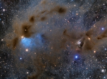 Young Stars and Nebula Cederblad  in Taurus 
