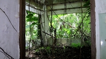 Your room in an abandoned resort reclaimed by jungle Phuket Thailand