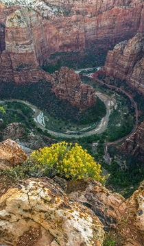 Zion from above 