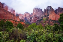 Zion National Park in a dramatic mist along the Trans-Zion Trek Trail 