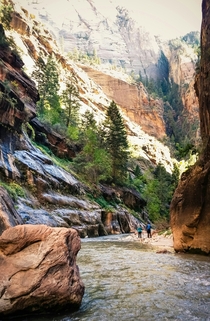 Zion National Park- The Narrows 