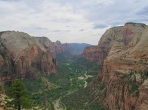 Zion seemed pretty popular today Heres my  cents View from Angels Landing 
